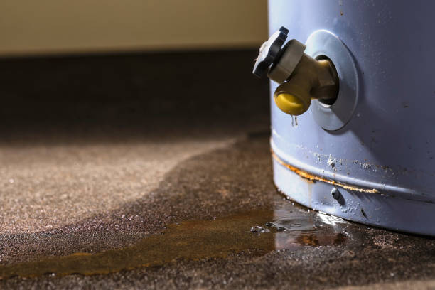 Best Commercial Water Damage Restoration in Esperance, WA