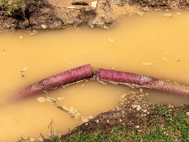 Best Ceiling and Wall Water Damage Repair in Esperance, WA